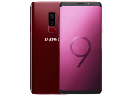 Burgundy Red